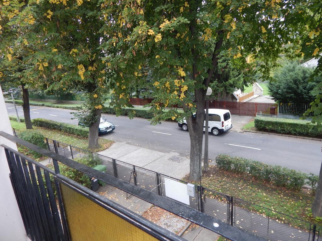 Hajdu Vendeghaz Hotell Hajdúszoboszló Rum bild